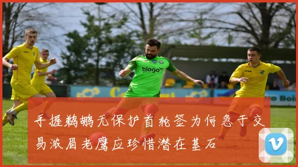 手握鹈鹕无保护首轮签为何急于交易浓眉老鹰应珍惜潜在基石
